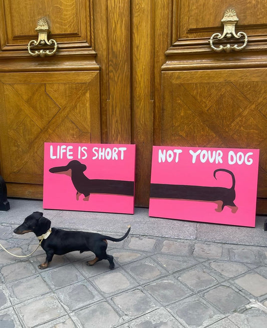 Life is short, not your dog